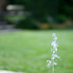 Image for article titled Shooting Challenge: Water Drop Gallery Part 3